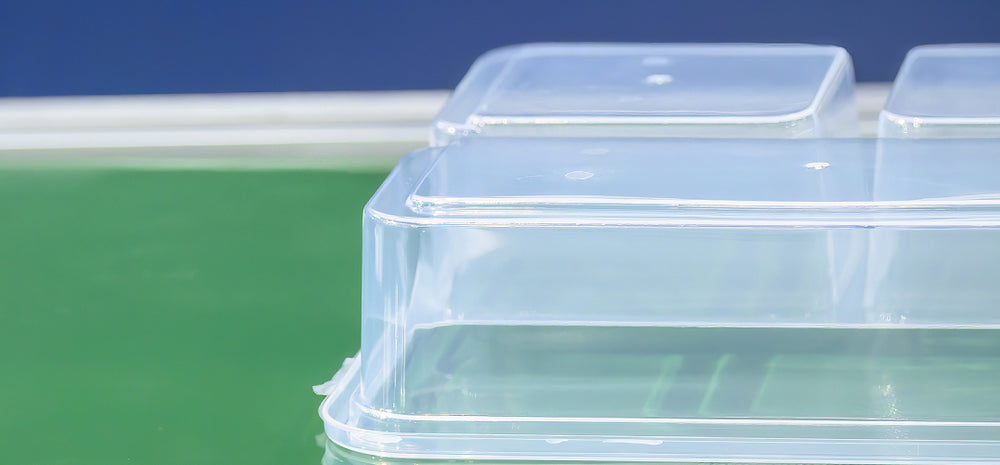 Which Plastics Are Safe for Storing Food?