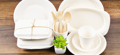 How Is Bagasse Food Packaging Environmentally Friendly?